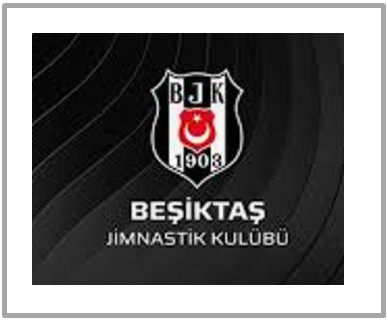BJK AKARETLER Logo